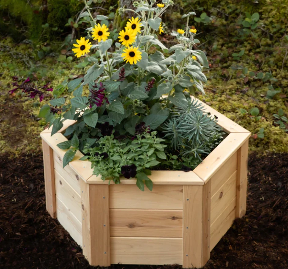 Hexagonal raised planter