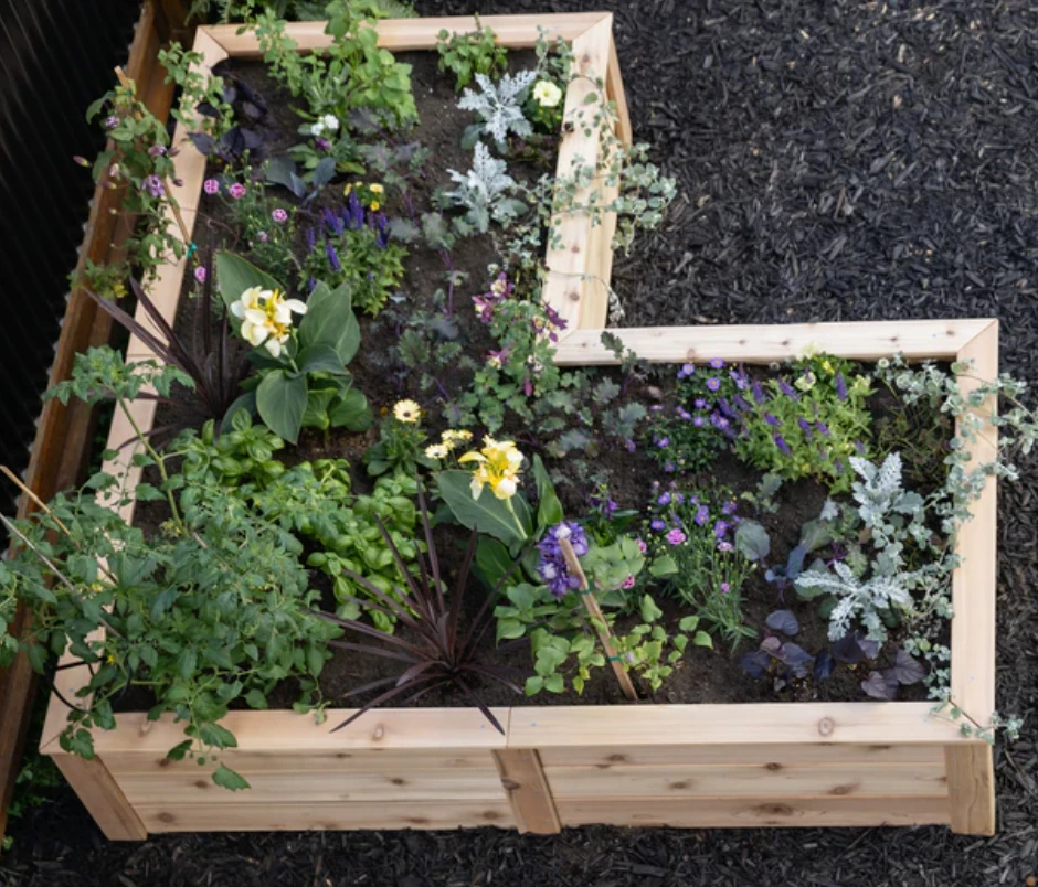 L-shaped raised garden bed