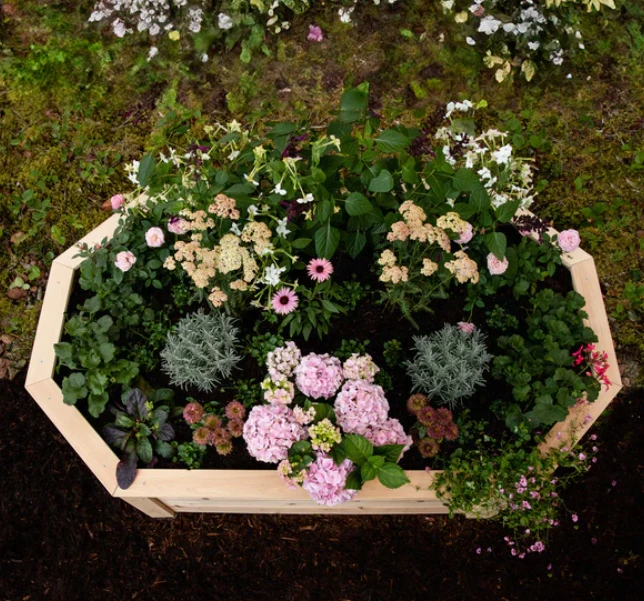 Octagonal raised garden bed
