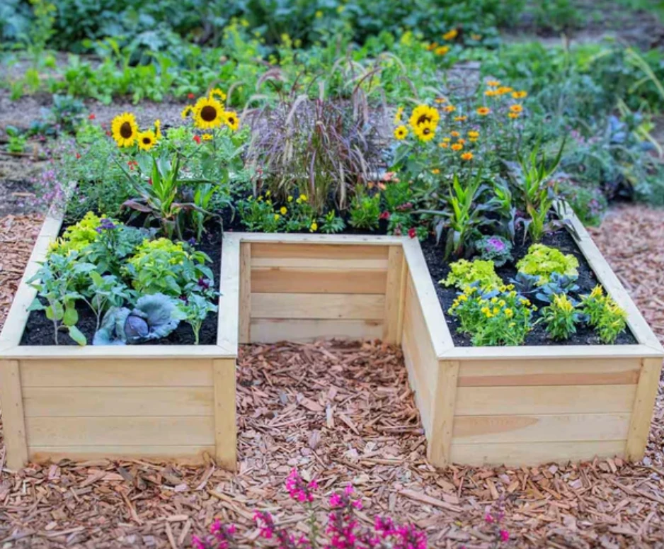 U-shaped raised garden bed